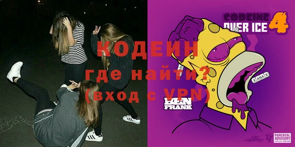 МДПВ Нея